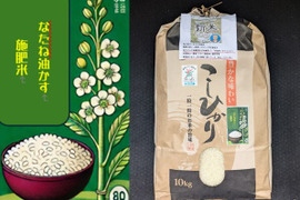 滋賀県のコシヒカリで産地直送の商品｜食べチョク｜産地直送