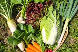 信州冬野菜セット【10品目】