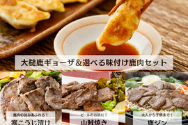 【父の日ギフト】鹿餃子＆選べる味付鹿肉セット/指定日配送可能【メッセージカード付き】