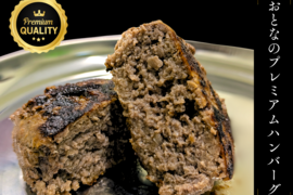 【期間限定】おとなのプレミアムハンバーグ 100g×5個セット