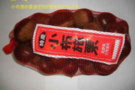 信州　小布施栗　早生栗 2L玉1キロ