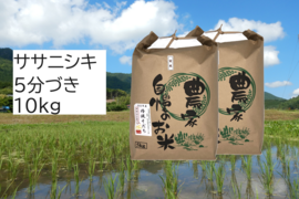【新米・2026年産】自然栽培米『ササニシキ』5分づき10kg