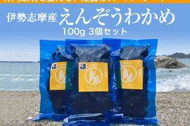 産地厳選！【産地直送】えんぞうわかめ100ｇ3パック　 伊勢志摩産　鳥羽市の離島・菅島沿岸で収穫！　人気のおみやげ