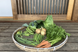 農薬化学肥料・除草剤不使用春の野菜セット　５月　レシピ付き