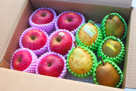 旬のフルーツセット 洋梨 ラフランス ふじりんご 家庭用 3kg箱まんぱい詰め (2〜4種) 訳あり