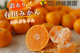 【10月上旬より順次発送予定】有田みかん5kg（こつぶサイズ3S～S）家庭用（訳あり品）こつぶちゃん 和歌山 311-7