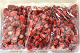 冷凍いちご 500g入りイチゴ農家 直送