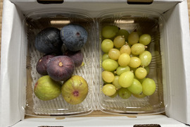 【秋の果物詰め合わせ】農薬不使用いちじく　農薬節減黄金シャインマスカット　2パック