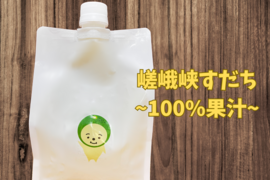 嵯峨峡すだち〜100%果汁〜 1000ml×2