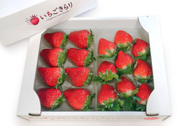 【旬のいちごを食べ比べ！】特別栽培 旬のいちご 詰め合わせ （一箱2パック入）