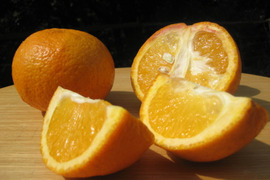 【えひめ・しまなみの島いよかん】瀬戸内海よりお届け！いまが旬の宮内いよかん４㎏【約１５～２０個・サイズ混合・ご家庭用】ぷりっぷりの果実がたまらない！