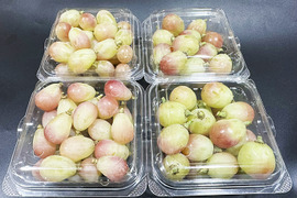 さっぱり甘い！岡山県産種なしサニードルチェ 約250gｘ4パック（約1kg、4パック）