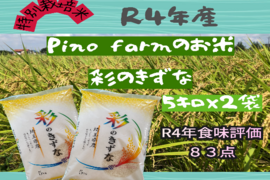 もちもち食感！R4年産彩のきずな(ビニール袋）　【5㎏×2袋】