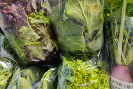 ✨【農家厳選】瑞々しさが自慢。毎日使える旬の野菜詰め合わせ（5〜6品）✨