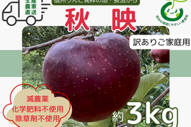 生産農家直送 りんご 秋映 訳あり 家庭用 3kg 長野県産 信州りんご発祥の地 長沼りんご 産地直送 除草剤不使用 人にやさしく環境にもやさしい農産物