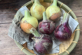 ⭐有機JAS認証⭐赤玉葱・玉葱2種類セット1.5kg（小～中サイズ）