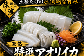 【王の刺身を心ゆくまで】長州床波ブランド一押し天然国産『特選アオリイカ』至高の晩酌を何度でも楽しむ大容量お刺身用約400g