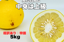 土佐文旦 超訳あり｜見た目NGでも中身同じ 今が食べ頃 60日仕上げ 5kg お試し