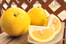 【果汁たっぷり】　熊本県産　パール柑　３ｋｇ～４ｋｇ