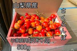 さくらんぼ品種おまかせ『訳あり品』500g