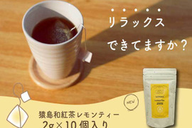 リラックスタイムにいかがですか？SASHIMA LEMON TEA／2g×10　ティーバッグ お茶　紅茶　レモンティー メール便