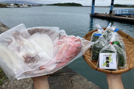 五島列島産！！海の幸詰め合わせセット✨
(冷凍ｲｶ、冷凍鯛、冷凍あおさ)