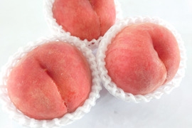 素朴な美味しさとしっかり食感の「茨白桃」L玉以上！約1.7kg【クール便】【夏ギフト】