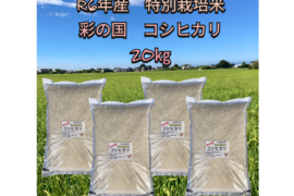 〒ゆかり様用埼玉県産彩のかがやき18kg精米★生産農家直送 彩のかがやき（精米） 5kg | JPP ONLINE