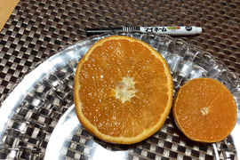 追加残り2箱 貫禄のずっしり せとか段々畑育ちすぐ発送
】せとか1.5kg小粒今食べごろいつもの石野水産ルール同梱もどうぞ!!常温品は送料同じ!クールは440円からになるかと。