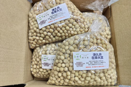 味噌作りなどに‼️山梨県上野原産津久井在来大豆2kg