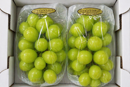 全国 送料無料！種無し大粒ぶどう糖度16度〜20度以上『シャインマスカット』800g以上2房セット箱入り