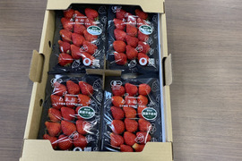 【4-5月限定】オーガニックあまおう　中粒4パック（280g×4）