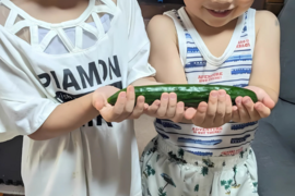 野菜イヤイヤ卒業！？　げんきゅうり　2.2㎏（20本程度）　子どもがパクパク！朝採れトゲシャキおかっぱ農園直送