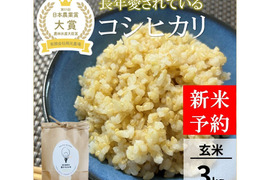 日本農業賞大賞受賞 令和8年産ゆめみづほ10キロ玄米：石川県産のお米