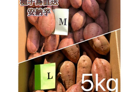 【絶品】種子島産 安納芋 M&L 混合5kg(箱別)