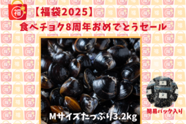 【福袋2025】漁師直送！宍道湖産ヤマトシジミ・冷凍3.2kg（ご家庭用・Mサイズ）