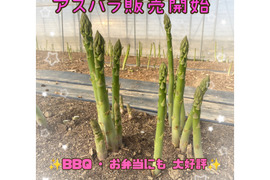 ✩.*˚北海道産 1kg M～2Lサイズ アスパラ！✩.*˚