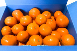 【訳あり】こつぶの宝石箱・麗紅（3kg）