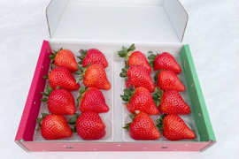 マジでやばデカ果汁が溢れる大きさ❤️「プラチナ級光姫」❤️　❗️1箱16個入(大きさL〜LL)600g〜700g❗️