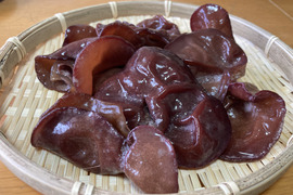 有機JAS認証『生きくらげ』100g×5P