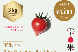 【20％OFF !!特別価格】豊かな潤い！フルーツトマト「雫果（しずか）」（ご家庭用・3kg）