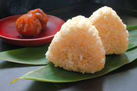 玄米が好きになる きらほ玄米10㎏(5kg×2袋)