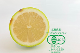 【有機JAS認証！皮までレモン特価！】レモン島からお届け♪★訳あり箱込2kg