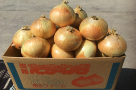 【期間限定！！淡路島産 中生ターザン】淡路島産玉ねぎ 3L 5kg