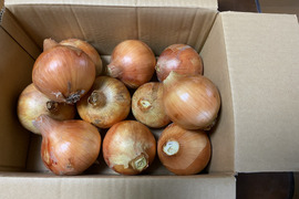 ★コク旨タマネギ もみじ3号 新鮮・産地直送　5kg(箱込み）