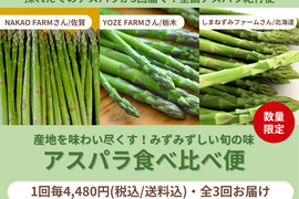 【限定200セット】アスパラ食べ比べ便（食べチョク公式）