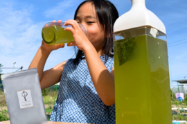 水出し緑茶　希少部位"真（ジン）"100％使用　春の一番茶　芽茶　750ｍL～1Lできます　5g✖️30パック　プレミアム水出し緑茶　お茶　ティーバッグ　あわせ買い