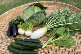 【お試しサイズ】山のミネラルたっぷり！ソノちゃんのこだわり野菜セット6〜7種