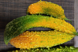 🥭🥒フルーティーな甘み！完熟ゴーヤ6本｜黄色く甘く育った希少なゴーヤ【ゴーヤジャムレシピ付き】｜農薬・化成肥料不使用🥭🥒
