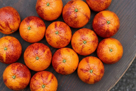 【濃密、真紅の雫】ブラッドオレンジ タロッコ　お試し１ｋｇ ご家庭用 農薬不使用 自然栽培 愛媛県